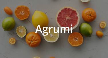 agrumi